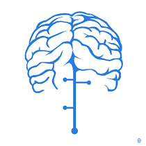 Lire la suite à propos de l’article CORTEX-GESTION