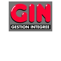 Lire la suite à propos de l’article GIN GESTION ANALYTIQUE