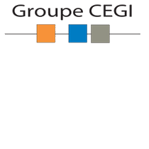 Groupe CEGI